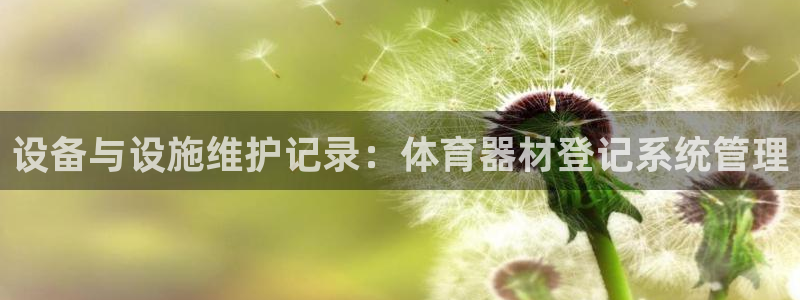 必一运动sport爱查股：设备与设施维护记录：体育器材登记系