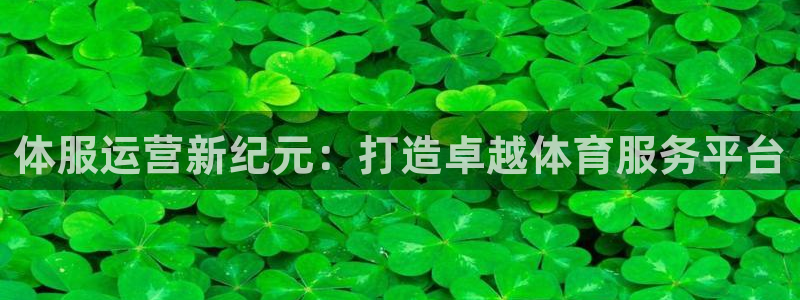 必一体育最新官网入口