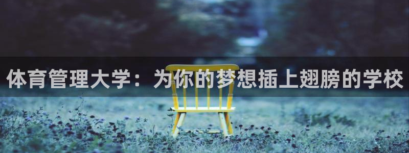 必一体育app下载最