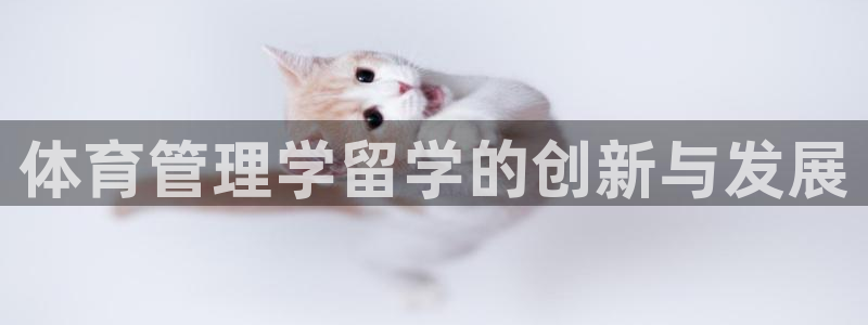 必一体育网站：体育管