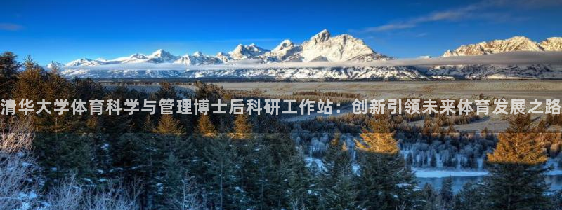 必一体育手机下载：清