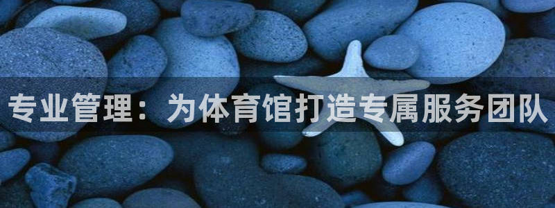 必一体育官网网站：专