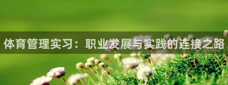 必一体育在线登陆：体
