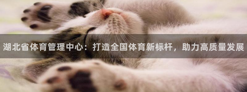 必一体育官方下载入口