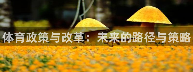 必一体育下载入口：体