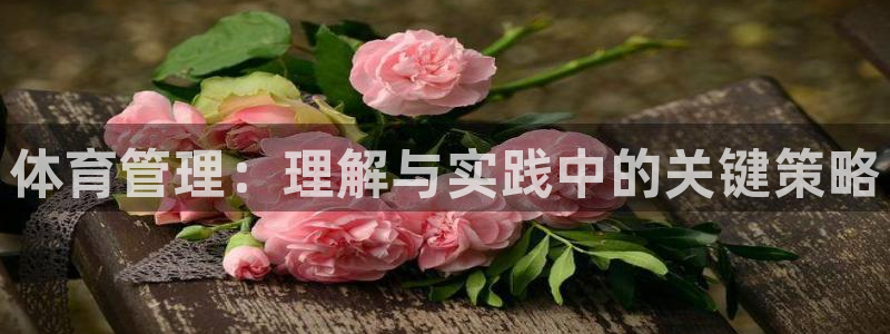 必一体育网站：体育管