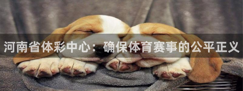 必一体育皮尔斯：河南