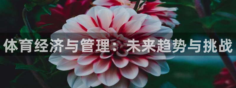 必一运动·(B-Sports)土豆：体育经济与管理：未来趋势