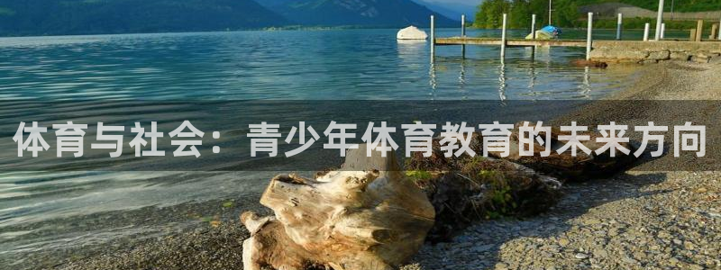 必一体育电子app：