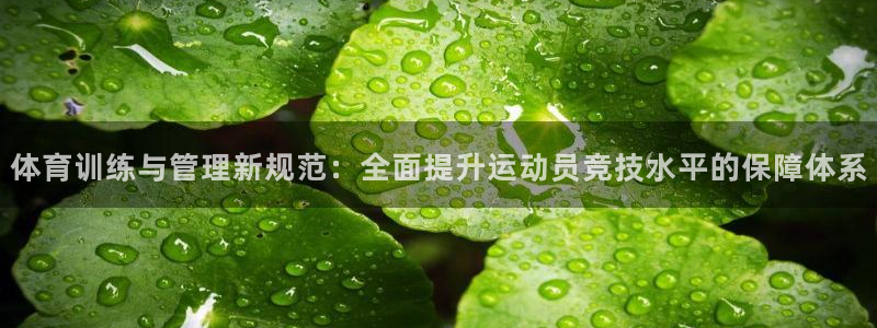 必一运动官网平台：体育训练与管理新规范：全面提升运动员竞技水