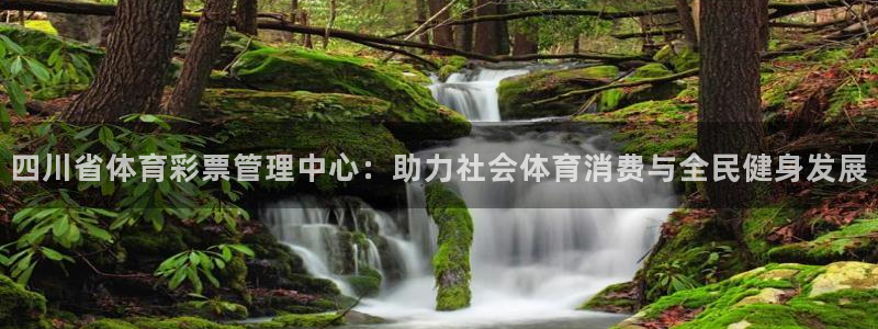 必一体育sport装