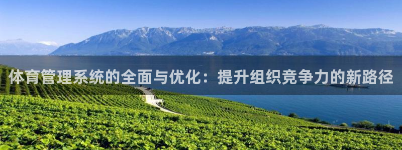 必一体育官方app下