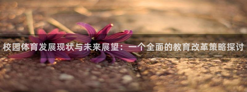 必一体育网页登录版官