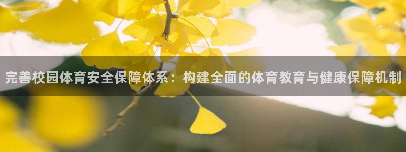 必一体育网页：完善校