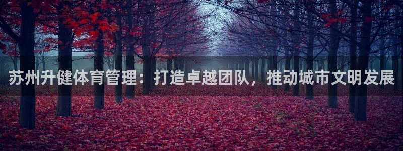 必一运动官网装机吧：