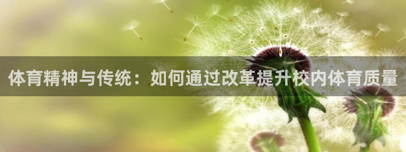 必一体育登录入口：体