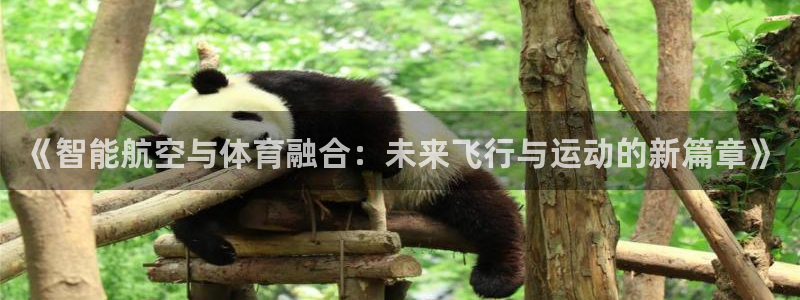 必一体育在线登录：《