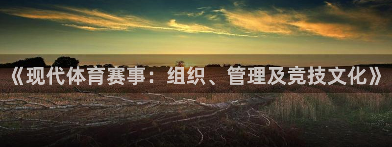 必一体育bsport