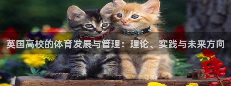 必一体育下载移动版：