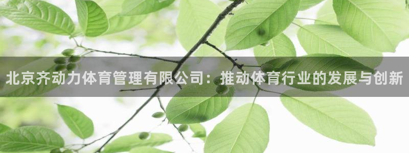 必一体育app下载安