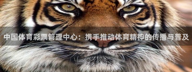 必一运动官网登录入口