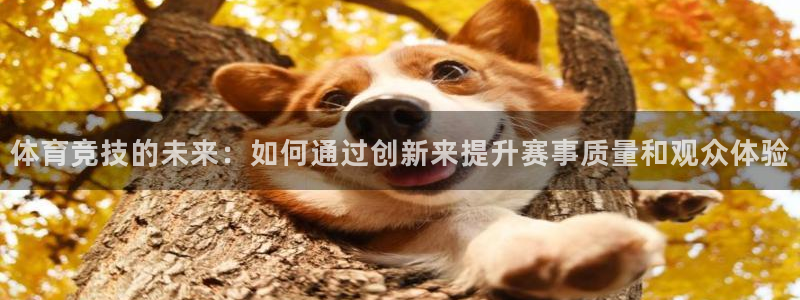必一体育sport网