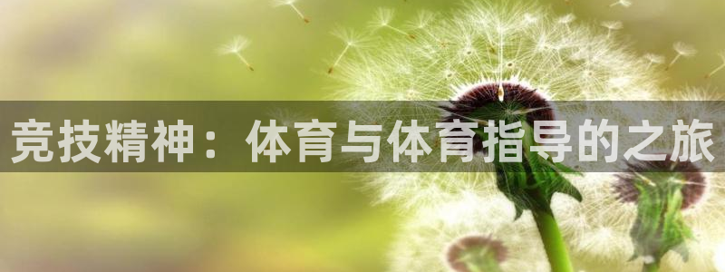 必一体育app下载：