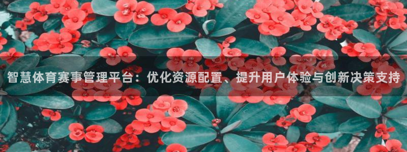 氵必一一厂一：智慧体育赛事管理平台：优化资源配置、提升用户体