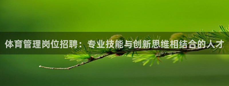 必一体育全站在线登录