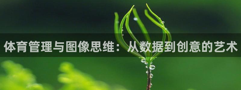 必一体育下载一样吗：体育管理与图像思维：从数据到创意的艺术