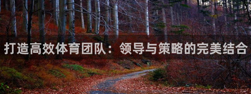 必一体育网站：打造高