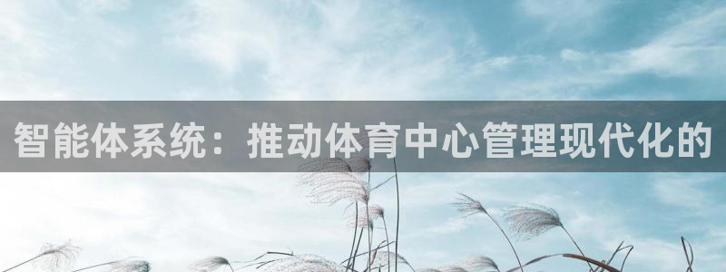 必一体育皮尔斯：智能