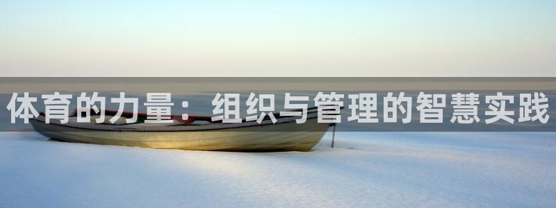 必一体育是啥：体育的力量：组织与管理的智慧实践