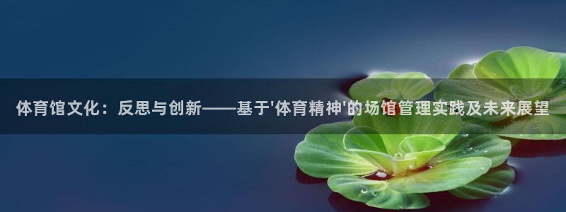 必一体育在线登录：体育馆文化：反思与创新——基于\'体育精神
