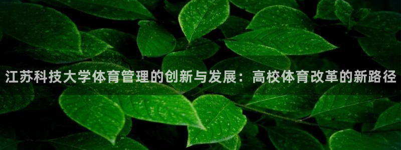 必一体育bsport