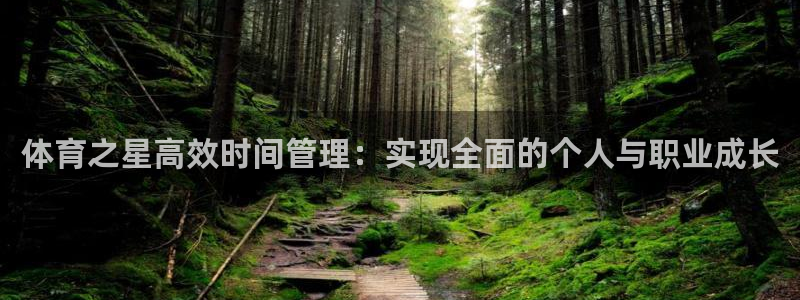 必一体育网页登陆：体育之星高效时间管理：实现全面的个人与职业