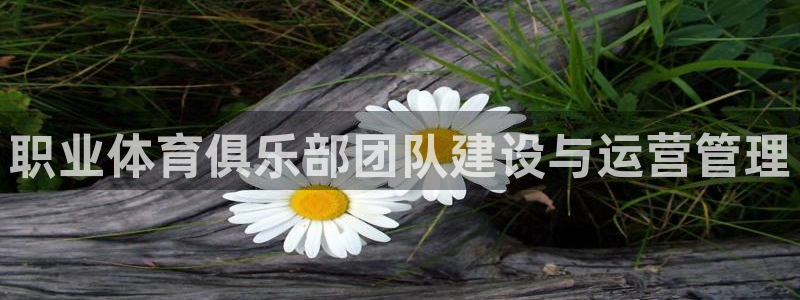 必一运动官网：职业体