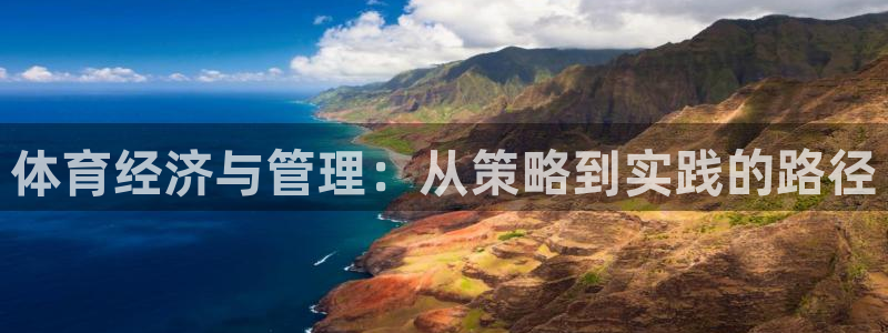 必一体育能提现大金额吗：体育经济与管理：从策略到实践的路径