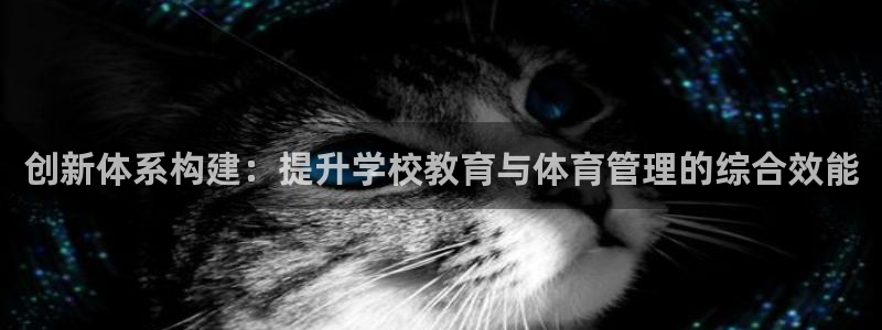 必一体育app官方网