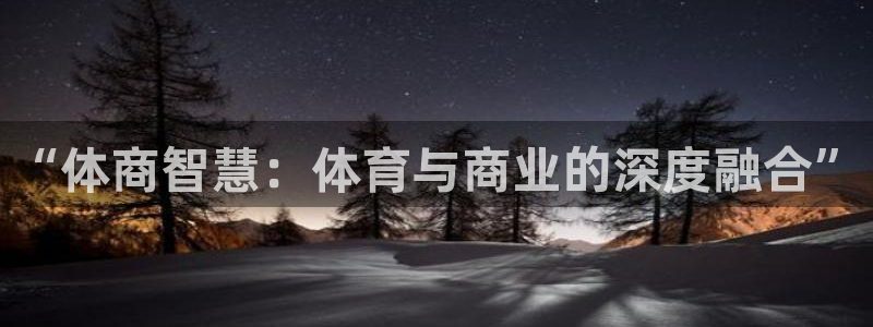 必一体育sport装