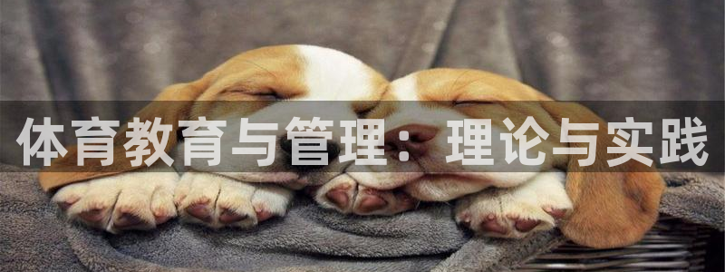 必一体育运动平台官网