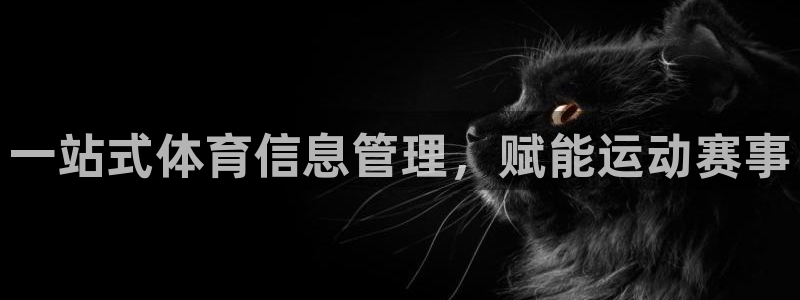 必一体育官网app：