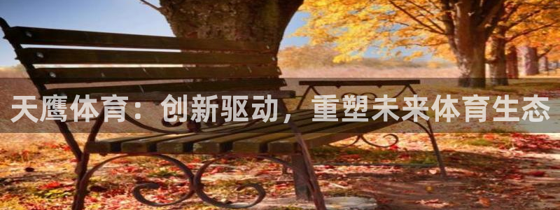 必一体育是哪里的台子