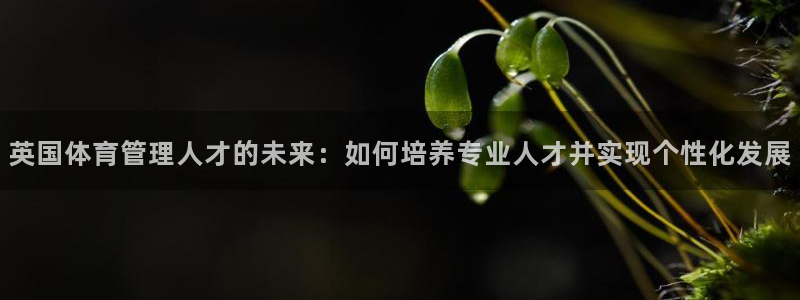 必一运动听的歌：英国