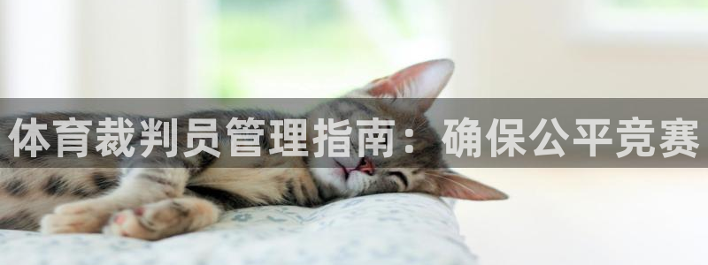 必一体育在哪下：体育