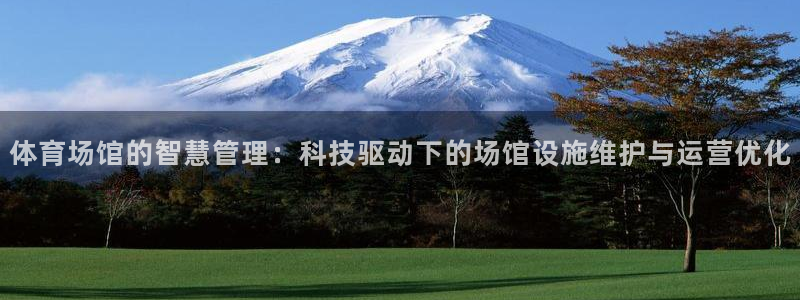 必一体育平台：体育场