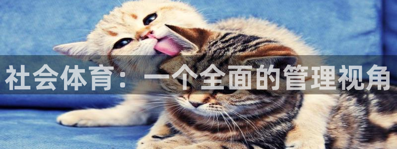 必一运动官网入口：社