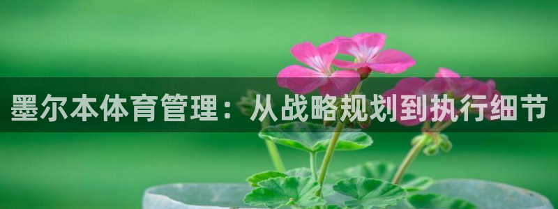 必一体育sport装