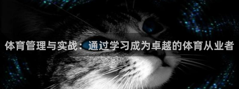 必一体育运动下载：体