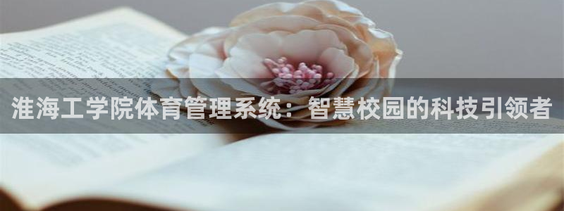 必一运动sport爱